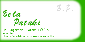 bela pataki business card